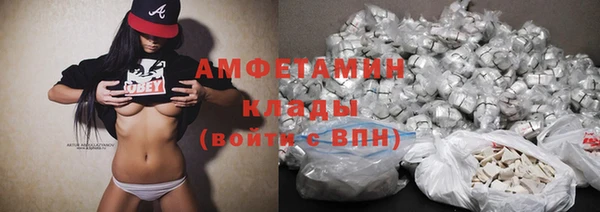 прущие грибы Верхний Тагил