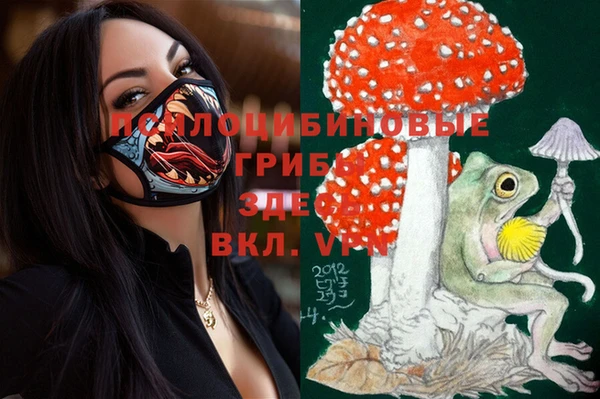 а пвп мука Верея
