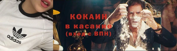 прущие грибы Верхний Тагил