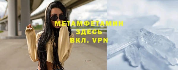 прущие грибы Верхний Тагил