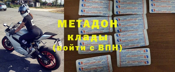 прущие грибы Верхний Тагил