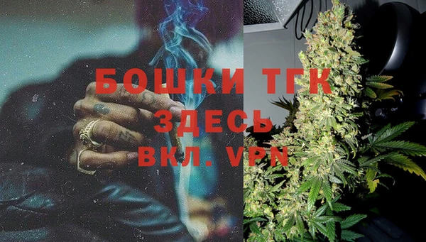 прущие грибы Верхний Тагил