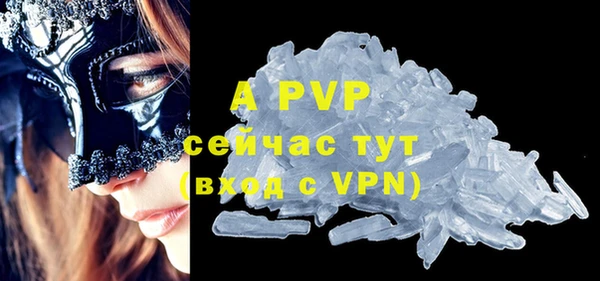 прущие грибы Верхний Тагил