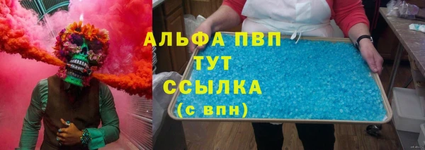 прущие грибы Верхний Тагил