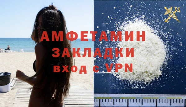 прущие грибы Верхний Тагил