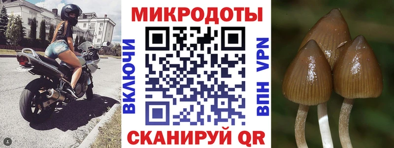 кракен маркетплейс  Невьянск  Псилоцибиновые грибы мицелий 